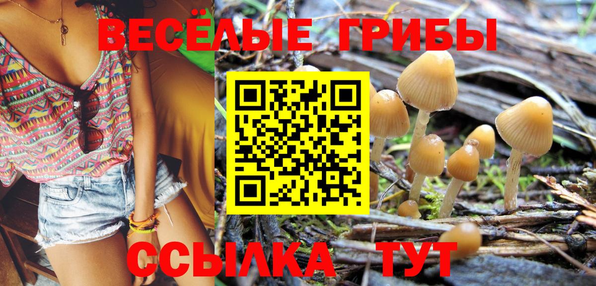 Галлюциногенные грибы Psilocybine cubensis Искитим