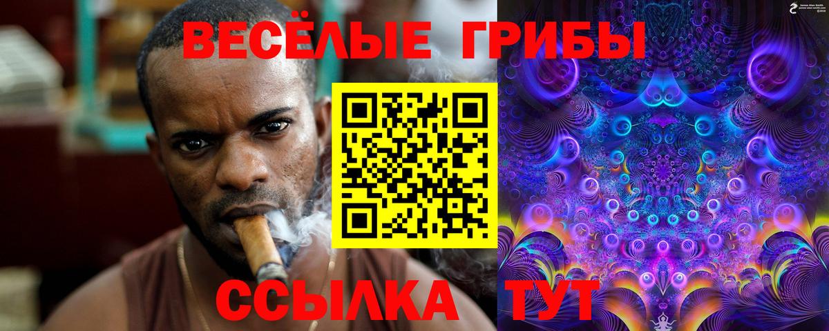 Псилоцибиновые грибы Psilocybe  Вход с VPN  Искитим  Галлюциногенные грибы Psilocybe 